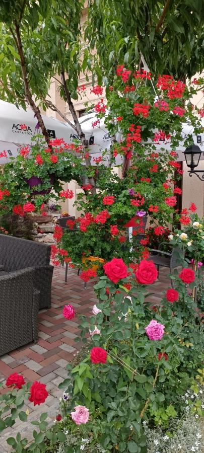 Casa Domneasca Rarau Hotel Moldvahosszúmező Kültér fotó
